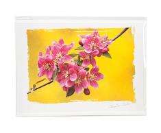 Papier Maison Artist Series Photo Carte avec enveloppe Full Bloom, Acrylique, Multicolore, 2 pièces