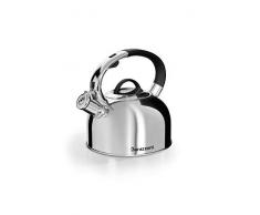 Bouilloire en acier poli