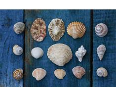 Scenolia Tableau dÃ©coratif Grand Format sur Toile Collection DE Coquillages 90 x 60 cm | Impression Haute qualitÃ©