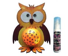 Petra S Bricolage-News A de leu4318Â F Kit de Bricolage, leuchti Chouette en Acrylique, utilisable comme Tirelire ou Veilleuse, avec Boule et Satin Ier Couleur