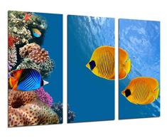 Tableau Moderne Photographique, Impression sur bois, Paysage sous la mer, poissons daquarium, 97 x 62 cm, ref. 26429