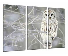 Tableau Moderne Photographique, Impression sur bois, Chouette blanche, nature blanche, 97 x 62 cm, ref. 26602