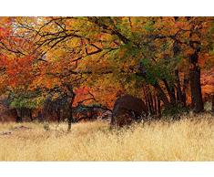 Papier Peint déco poster AUTOMNE 3 x 2,70 m | Déco et photo murale XXL Qualité HD Scenolia