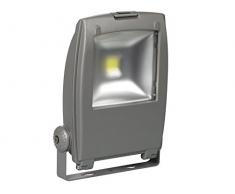 Perel LEDA309 Projecteur LED dExtÃ©rieur Puce Epistar, Verre, 20 W, Multicolore