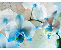 AG Design fTxxl 1433 Papier Peint Photo Murale-Mural Violet Motif Fleurs