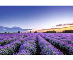 Papier Peint poster panoramique PARFUM DE LAUBE 4 x 2,70 m | DÃ©co et photo murale XXL QualitÃ© HD Scenolia