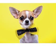 AG Design FTM 0860Â Petit Chien Papier Papier Peint Photo, Multicolore, 160Â x 115Â cm