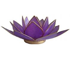 Trimontium Photophore Lavande Lueur dsous la Forme dune dreiblÃ¤ttrigen Lotus, Coquillage de Capiz, Lavande, 13,5Â x 13,5Â x 7Â cm