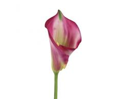 BELLAFIORA 01AMAZ025203 Fleurs Artificielles Arum Fuchsia 85 cm