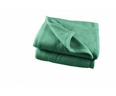 POYET MOTTE POLEX Couverture polaire Polyester Tilleul 220 x 240 cm