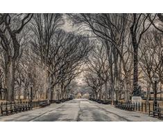 GB Eye LTD, Assaf Frank, New York Central Park, Maxi Poster