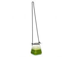 Spaas 6 Bougies parfumées de Jardin avec Cintre en Verre Cire de Paraffine Vert fraiche L 90 mm x H 98 mm