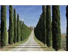 Papier Peint poster panoramique IL CAMPO LIVIO 4 x 2,70 m | DÃ©co et photo murale XXL QualitÃ© HD Scenolia