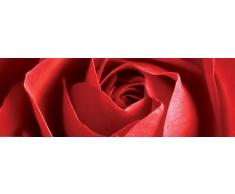 Empire 170248 Poster de Porte Roses XXL 158 x 53 cm