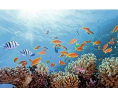 Scenolia Tableau décoratif Grand Format sur Toile Fond Marin 90 x 60 cm | Impression Haute qualité