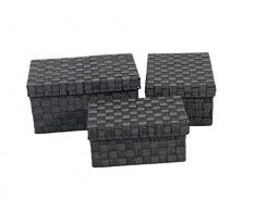 Franz Müller Flechtwaren 88617F17 Lot de 3 boites de Rangement avec Couvercle rectangulaire, 1 x 31 cm 21 x 14 cm - 1 x 35 x 25 x 16 cm, 1 fois/39 x 27 x 19 cm, nylonbandgeflecht (Noir/Blanc)