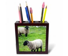 3dRose PH 209201Â _ 1Â Indigo fanions mÃ¢le Chantant Illinois USA carrelage Porte-Stylo, 12,7Â cm