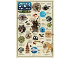 Empire Poster Animaux Guinness World Records avec Accessoire