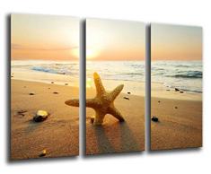 Tableau Moderne Photographique, Impression sur bois, Paysage plage coucher de soleil, Ã©toile de mer, 97 x 62 cm, ref. 26085