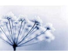 Scenolia Tableau dÃ©coratif Grand Format sur Toile OMBRELLE 90 x 60 cm | Impression Haute qualitÃ©