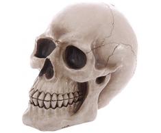 Puckator MB185 Tirelire crâne, Résine, Ivoire/Noir, 24,5 x 16 x 19,5 cm