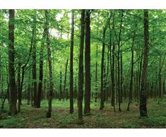 AG Design 1 Papier Peint IntissÃ©, Multicolore, 160 x 110 cm