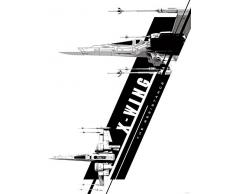 DELESTER DESIGN 2789VEA Star Wars Episode VII Le RÃ©veil de la Force Papier Peint IntissÃ© 2 Panneaux Multicolore 206 x 275 cm