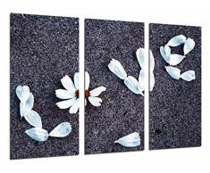 Tableau Moderne Photographique, Impression sur bois, Amour, Mot Amour, Pétales, Romantique, 97 x 62 cm, ref. 26687