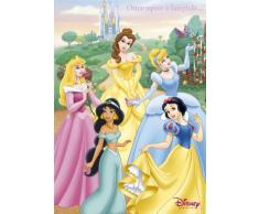 Empire 204691 Disney Princess, Film cinéma Movie Poster env. 91,5 x 61 cm