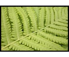 Digital Republic.com 40329 Paillasson Polyamide-PVC sans Phtalate