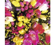 Scenolia Tableau décoration Murale Bouquet DE FREESIAS 90 x 90 cm | déco Design imprimée en France