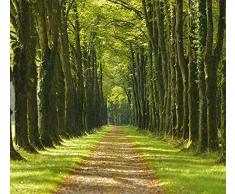 Papier Peint poster panoramique UN DIMANCHE Ã LA CAMPAGNE 4 x 2,70 m | DÃ©co et photo murale XXL QualitÃ© HD Scenolia