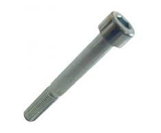 PENGO Caper Lot de 6Â brochettes en Acier Inoxydable 25Â cm Accessoires de la Cuisine