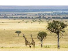 Scenolia Tableau dÃ©coratif Grand Format sur Toile Douce Savane 90 x 60 cm | Impression Haute qualitÃ©