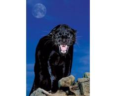 Animaux Poster Black Panther (61 cm x 91,5 cm)