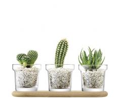 LSA International Pot de Fleurs, Verre, Transparent, Trio Pot Set & Oak Base, H11.5cm