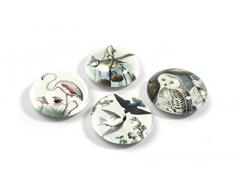 Trendform â Bloc en Forme de dôme Eye Bird Aimant de Bureau, Assortis, 9 x 12.5 x 1.6 cm