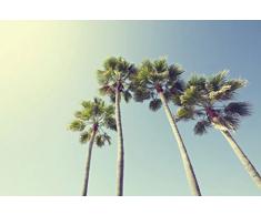 Papier Peint poster panoramique SOUS LES PALMIERS 4 x 2,70 m | DÃ©co et photo murale XXL QualitÃ© HD Scenolia