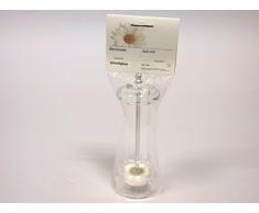 Cosmoplast Grand Moulin à Sel, Plexiglas, Transparent