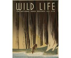 Le Poster Collective Vintage Wild Parcs nationaux prÃ©server Tous Les Vie WPA Cerf Animaux Art DÃ©co de Voyage, Bois, Multicolore, 59.4Â x 42Â x 59.4Â cm