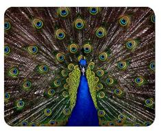 m. kern Mousepad Paon