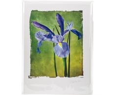 Papier Maison Artist Series Photo Carte avec enveloppe Iris, Acrylique, Multicolore, 2 pièces