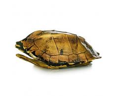 EUROCINSA Réf. 17146 Coffre de Tortue, polyrésine, Marron, 13 x 7,5 x 19 cm.