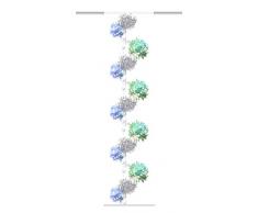 Home Fashion 87545â764 Panneau Coulissant lagot - 245 x 60 cm (Bleu/Vert)