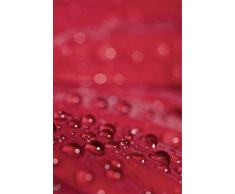 Scenolia Tableau Verre Acrylique Garance 60 x 90 cm | DÃ©coration Murale Design Fait en France