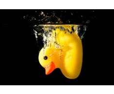 Digital Republic.com 40239 Paillasson Polyamide-PVC sans Phtalate