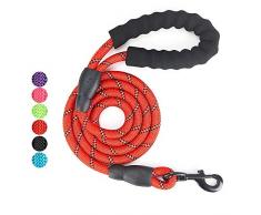 Vineco PoignÃ©e RembourrÃ©e Douce, Fils TrÃ¨s RÃ©flÃ©chissants, Sacs Ã DÃ©chets et Distributeur, 1,5 m Corde Laisse pour Tous Les Chiens de Taille, Rouge