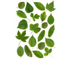 Plage 152757 Sticker Mural - Herbier, 1 Planche, 48 x 68 cm