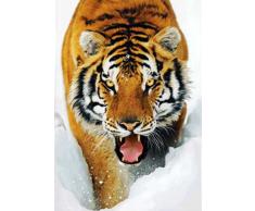 Empire Poster Tigre dans la Neige 3D avec Cadre en Panneau MDF