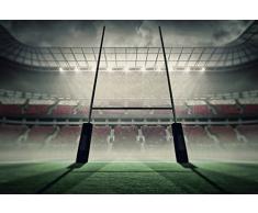 Papier Peint poster panoramique STADE DE RUGBY 4 x 2,70 m | DÃ©co et photo murale XXL QualitÃ© HD Scenolia
